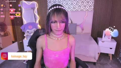 Snapshot of kaisage_tay chatting on October 2025 04:12:02 AM kaisage_tay online show from October 2025 04:12:02 AM