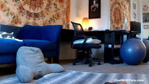 Tara Smith online show from January 2025 10:02:01 PM