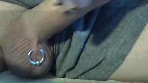 Snapshot of kangarooh66 chatting on February 2025 07:47:02 AM Kangarooh66 online show from February 2025 07:47:02 AM