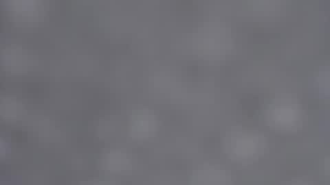 Emma online show from January 2025 09:08:01 AM