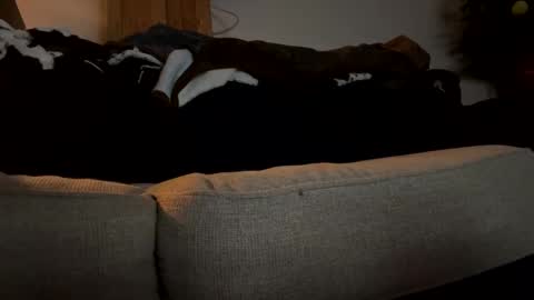 Snapshot of kaptainsmok36 chatting on January 2025 07:08:01 AM kaptainsmok36 online show from January 2025 07:08:01 AM