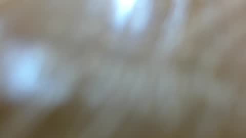 karina_hill online show from July 2026 08:35:01 PM