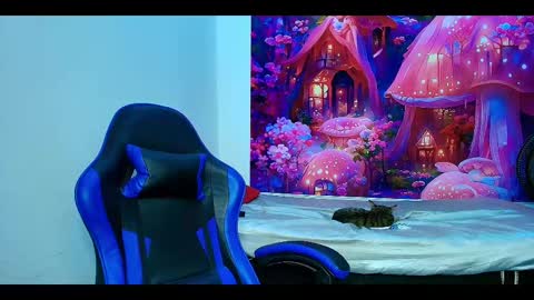    online show from October 2025 10:03:02 AM