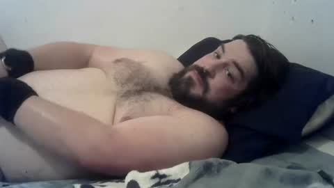 Cat-Pet online show from August 2026 06:48:02 AM