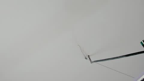 Kate  online show from February 2026 11:13:01 AM