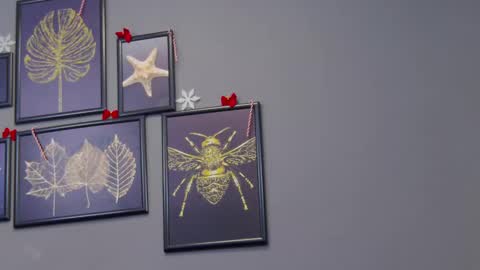 Snapshot of katewalker_ chatting on December 2024 12:23:01 AM Kate online show from December 2024 12:23:01 AM