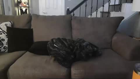 katycouple2003 online show from October 2025 05:17:01 AM