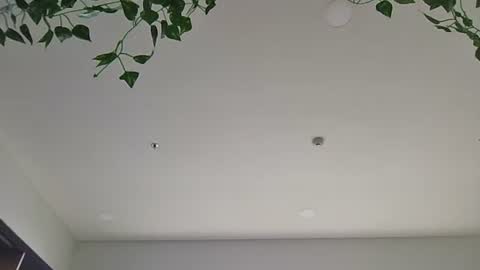 Sky-pure-Japanese online show from April 2026 05:52:01 AM