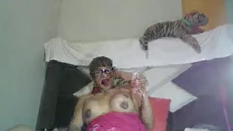 kelly_alisset online show from March 2026 07:25:01 AM