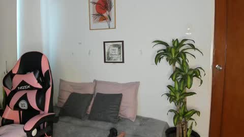  01  online show from November 2025 01:22:01 PM