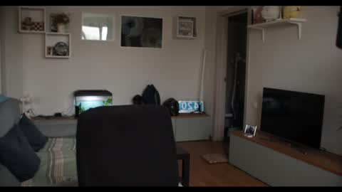 Snapshot of kevin_park chatting on February 2025 12:05:02 PM Kev online show from February 2025 12:05:02 PM