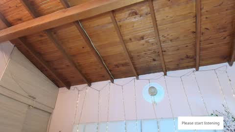    N         M online show from January 2025 11:32:02 AM