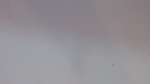 Melody online show from September 2025 12:54:01 PM