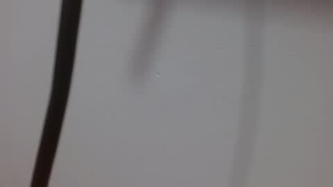 Melody online show from October 2025 12:02:02 PM