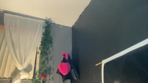 Bunniii online show from January 2025 11:41:02 AM