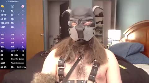 kinkywolf87 online show from February 2025 06:24:01 PM