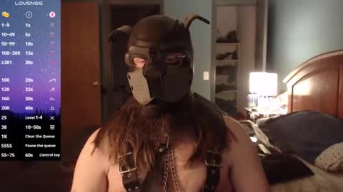 kinkywolf87 online show from February 2025 02:21:01 AM