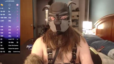 kinkywolf87 online show from March 2025 06:43:02 PM