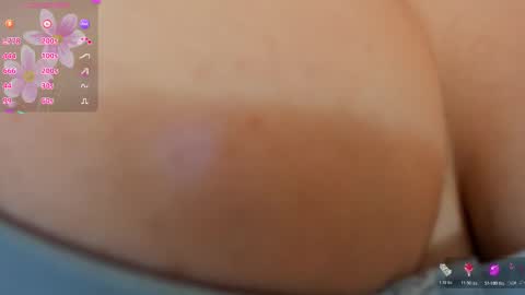 kitten online show from January 2026 08:47:02 PM