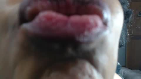 kitty online show from January 2025 03:48:01 AM