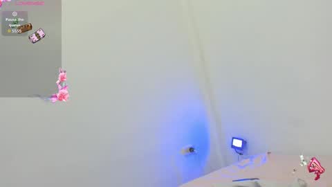 kitty online show from October 2025 09:23:02 PM