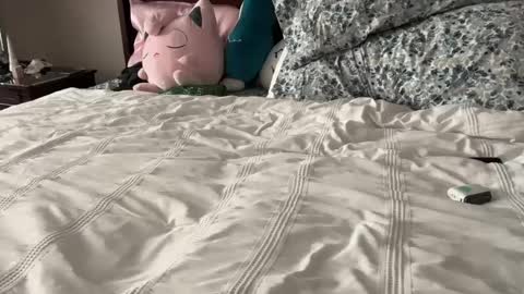 kittypurr79 online show from January 2025 12:07:01 AM