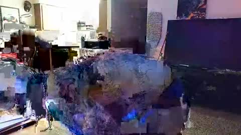 Knox Wilder online show from November 2025 05:55:01 AM