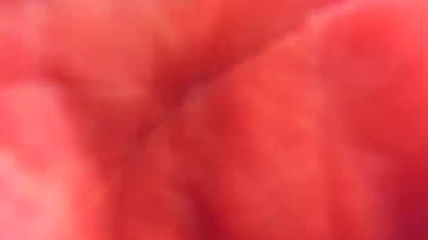 kobayaske online show from February 2025 12:15:01 AM