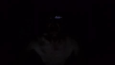 kobolt67 online show from October 2025 04:54:01 AM