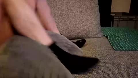 Snapshot of koelie1982 chatting on December 2024 01:28:02 AM koelie1982 online show from December 2024 01:28:02 AM