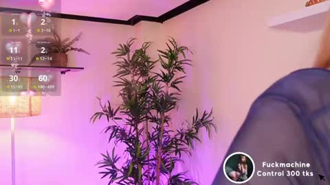 Kore online show from April 2026 07:44:01 PM