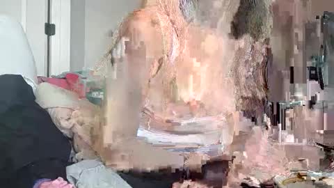 Korina online show from December 2025 07:41:02 PM