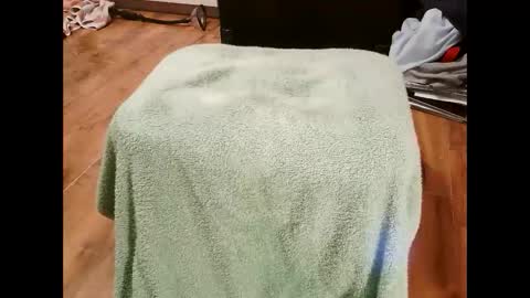 kotek400 online show from January 2025 08:10:02 PM