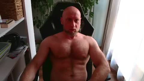 Kotylion online show from July 2026 03:39:02 PM