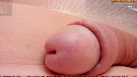 Petra online show from January 2026 08:03:02 PM