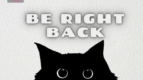   online show from March 2026 03:56:01 AM