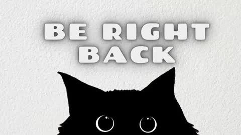   online show from March 2026 03:34:01 AM