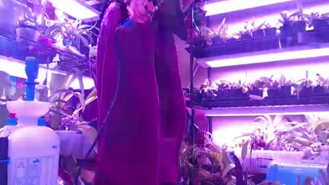 Snapshot of krookedorchid chatting on October 2025 10:06:01 AM krookedorchid online show from October 2025 10:06:01 AM