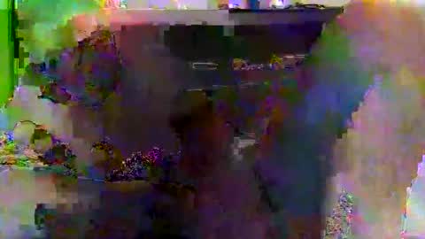 Snapshot of kylevogt2024 chatting on April 2026 03:56:01 AM kylevogt2024 online show from April 2026 03:56:01 AM