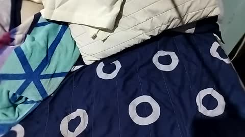 l0c0fundias online show from September 2025 07:08:01 AM