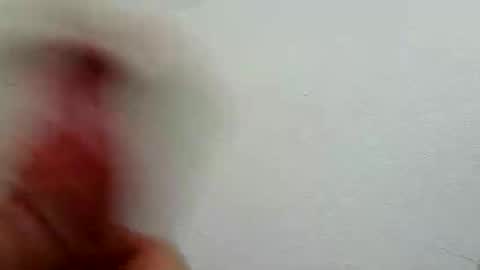 l0cean online show from February 2026 03:16:02 AM