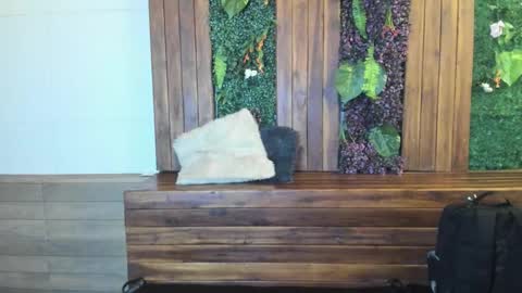 labrinthteasing online show from March 2026 12:23:01 PM