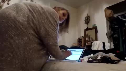 lacybell online show from November 2025 08:20:01 AM