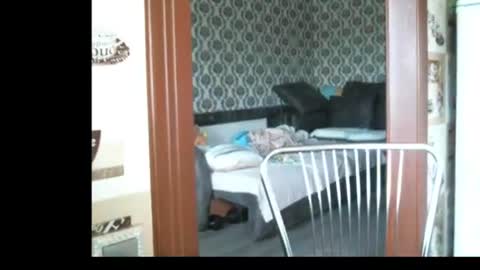 Snapshot of lady_cute_cat chatting on June 2026 02:53:02 AM lady cute cat29 online show from June 2026 02:53:02 AM