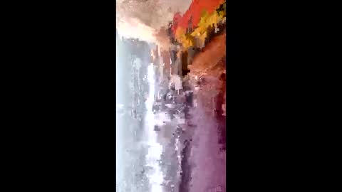 laia_hadid online show from February 2026 03:19:02 PM