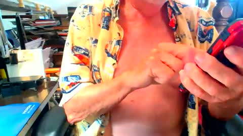 lamarbrazil online show from March 2026 08:10:01 PM