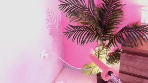 LANA online show from December 2025 04:17:02 AM