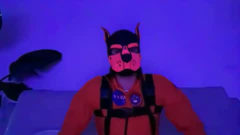 landosmith003 online show from June 2026 08:04:01 AM