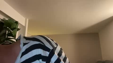 Lanimal online show from May 2026 09:55:01 PM