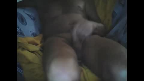 Larop49 online show from October 2025 05:16:02 AM